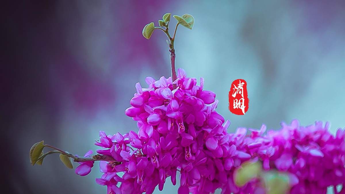 孤独寂寞夜晚心情语录唯美图文精选图片