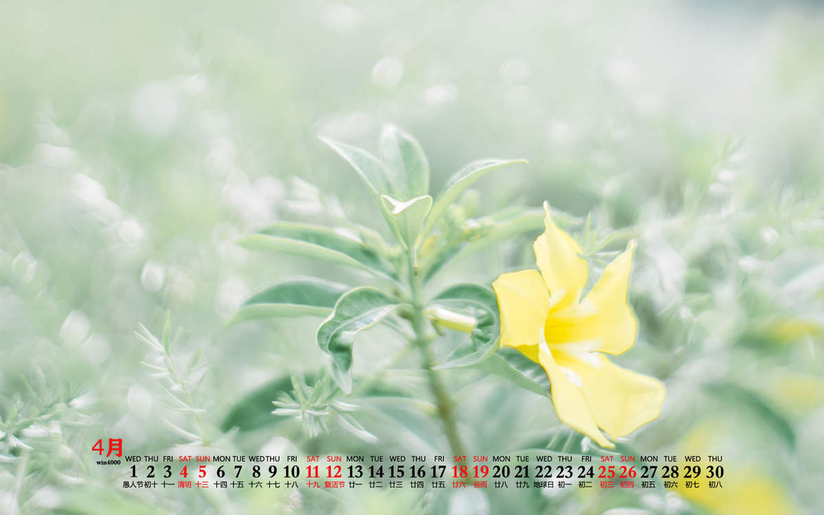 2020年11月帆布鞋草地草帽清新桌面日历壁纸图片