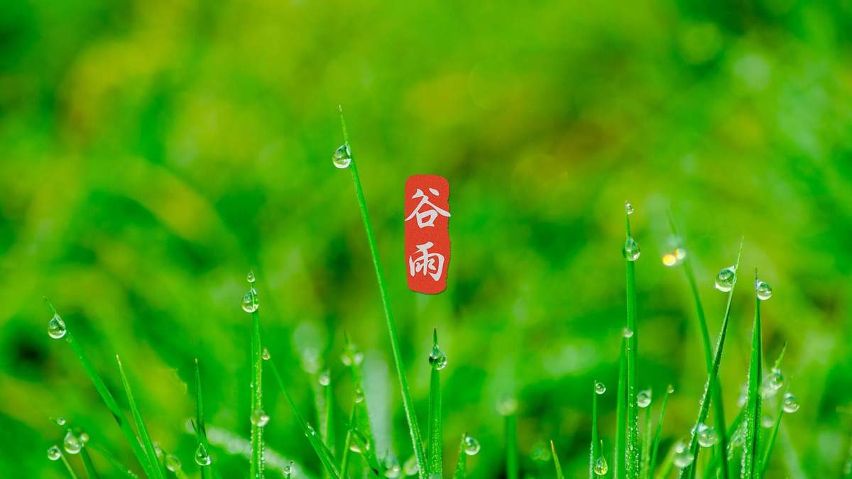 唯美治愈日系动漫风景桌面壁纸图片