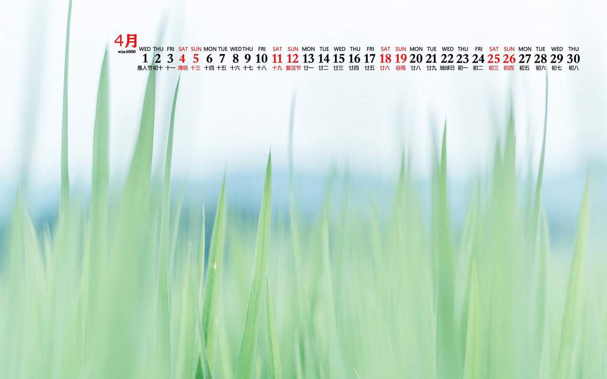 2020年9月夏季护眼绿色桌面日历壁纸图片