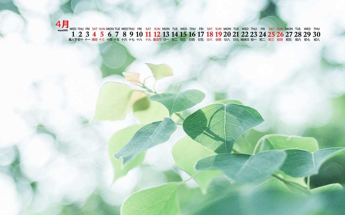2020年9月夏季护眼绿色桌面日历壁纸图片