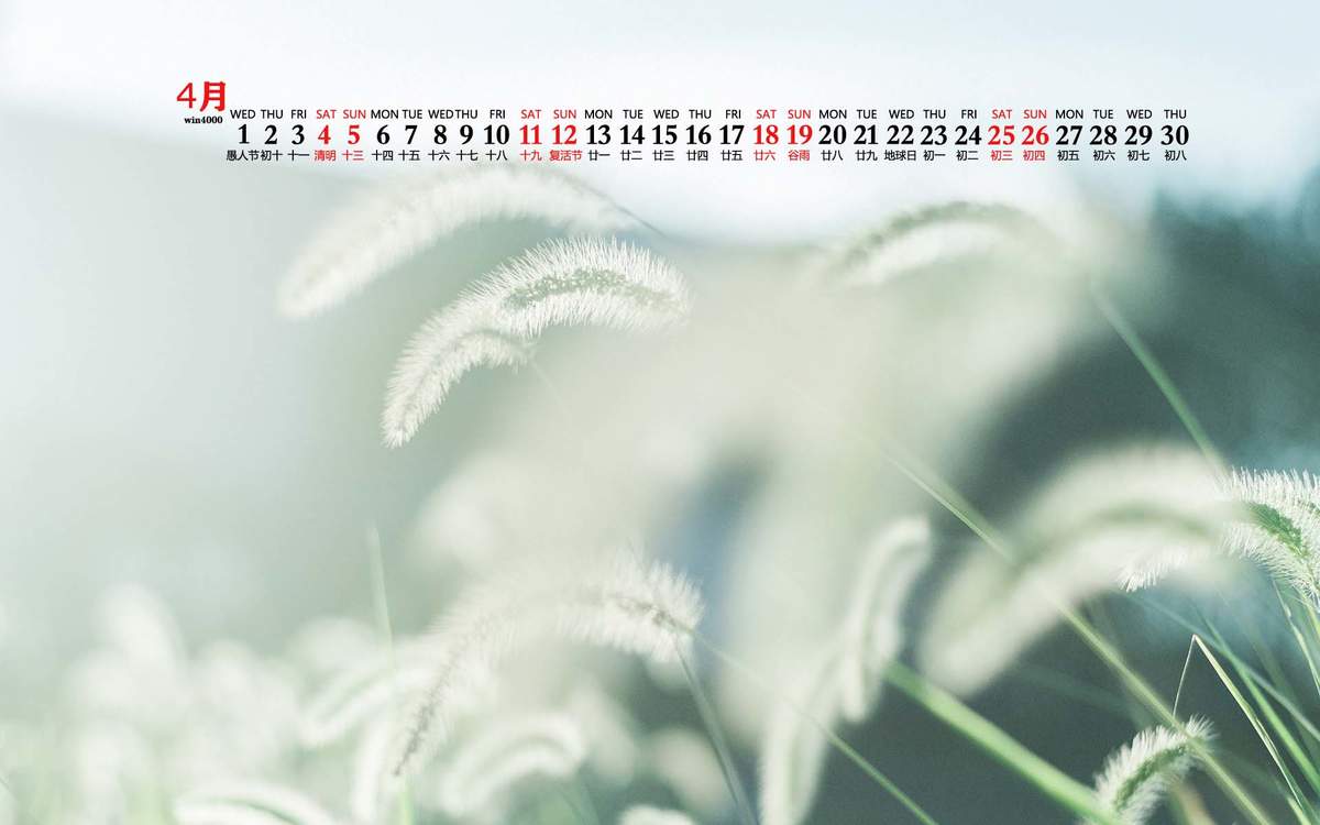 2020年9月夏季护眼绿色桌面日历壁纸图片