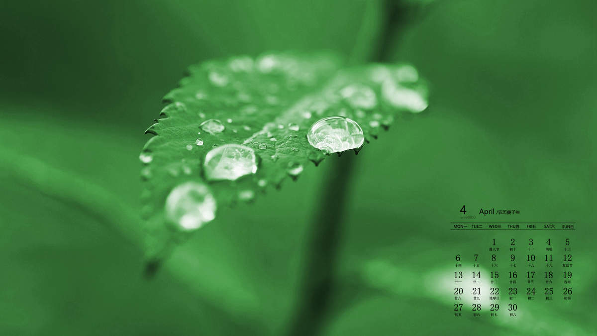 唯美清新绿色植物花卉高清摄影素材图片欣赏图片