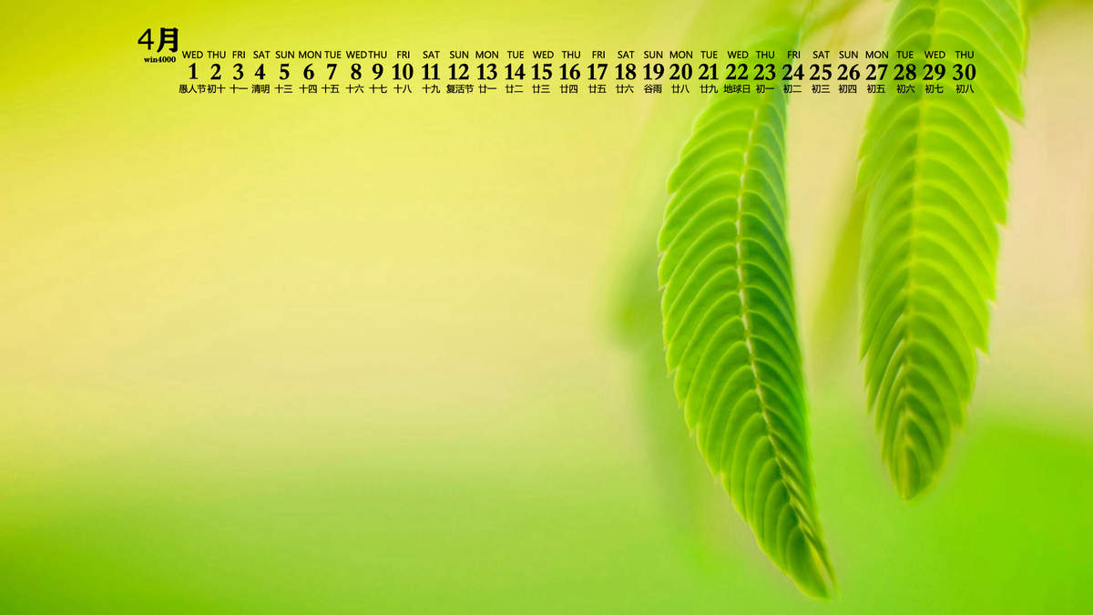 绿色植物图片