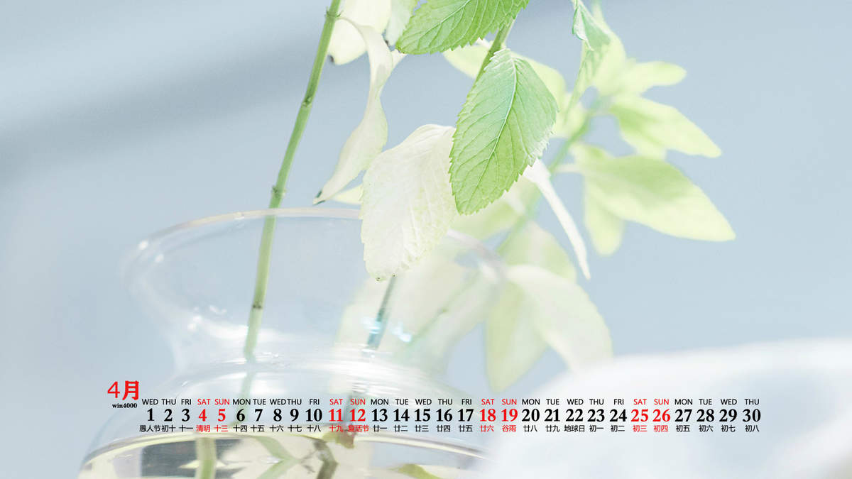 唯美清新绿色植物花卉高清摄影素材图片欣赏图片