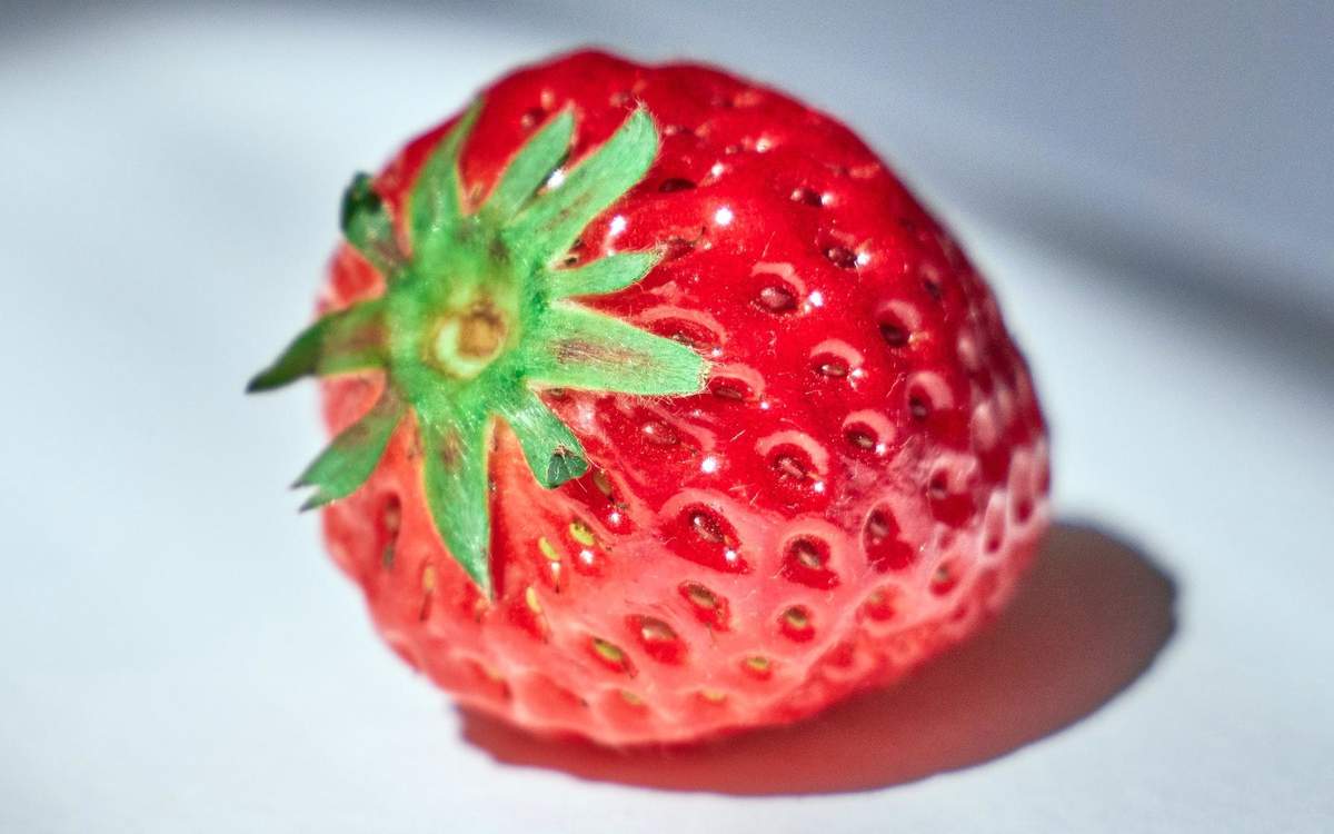 草莓图片