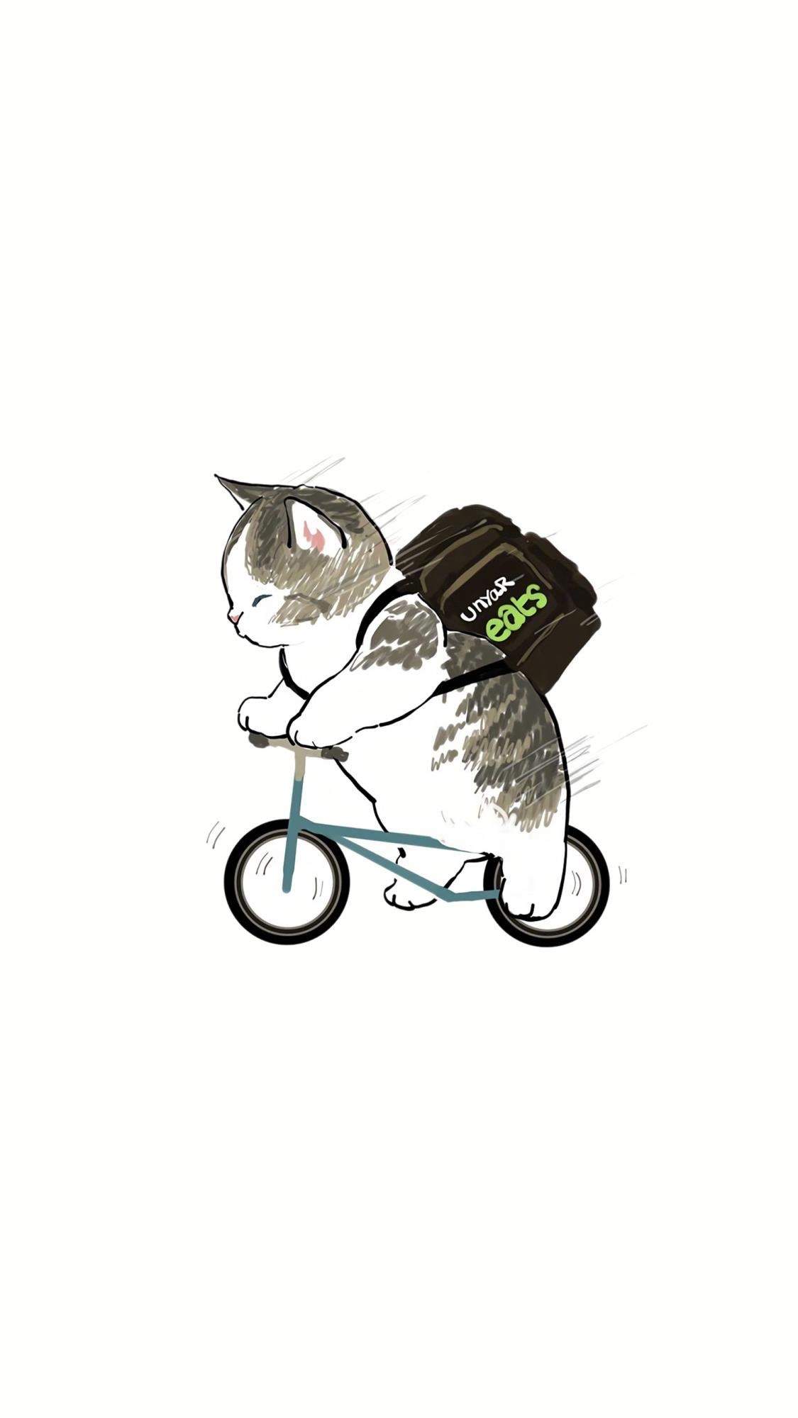 小猫图片