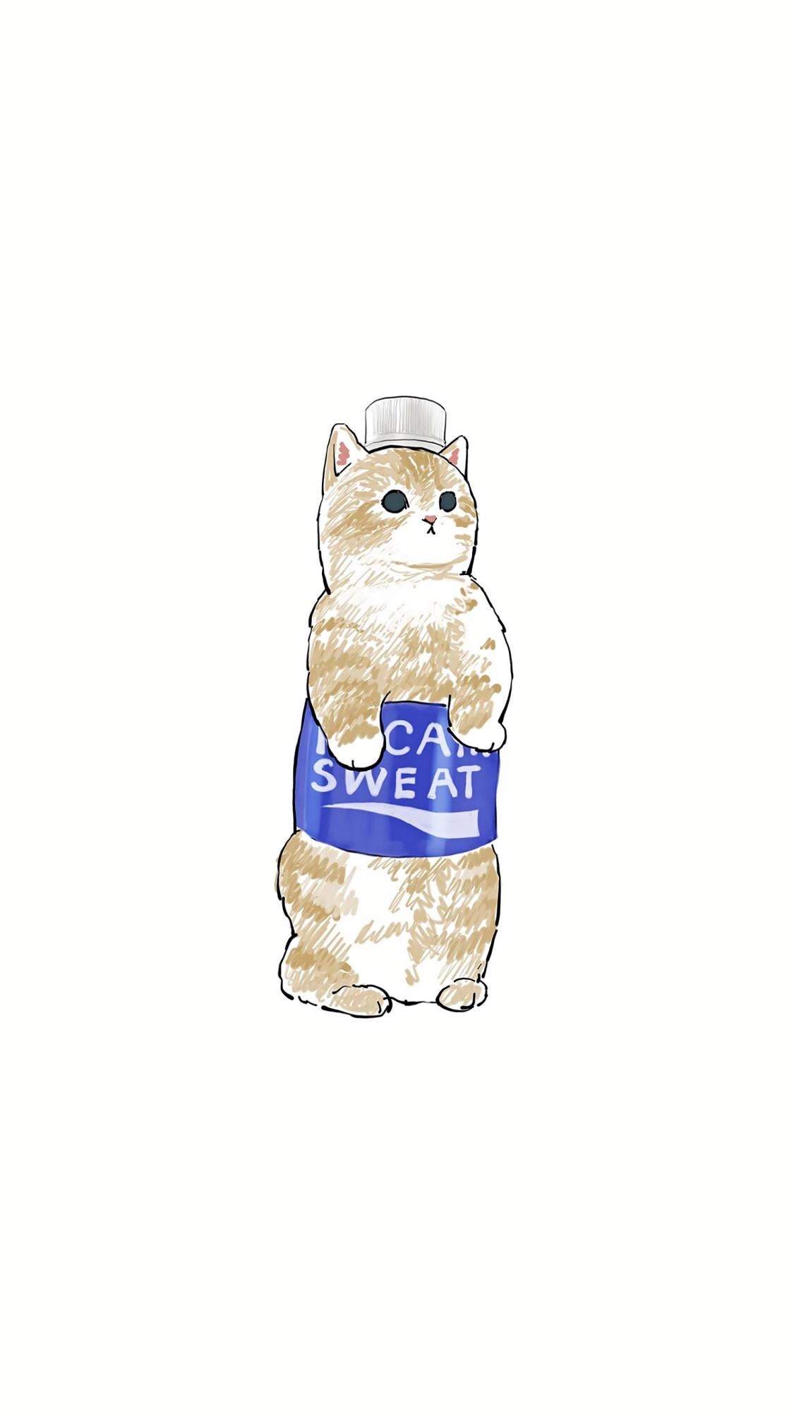 小猫图片