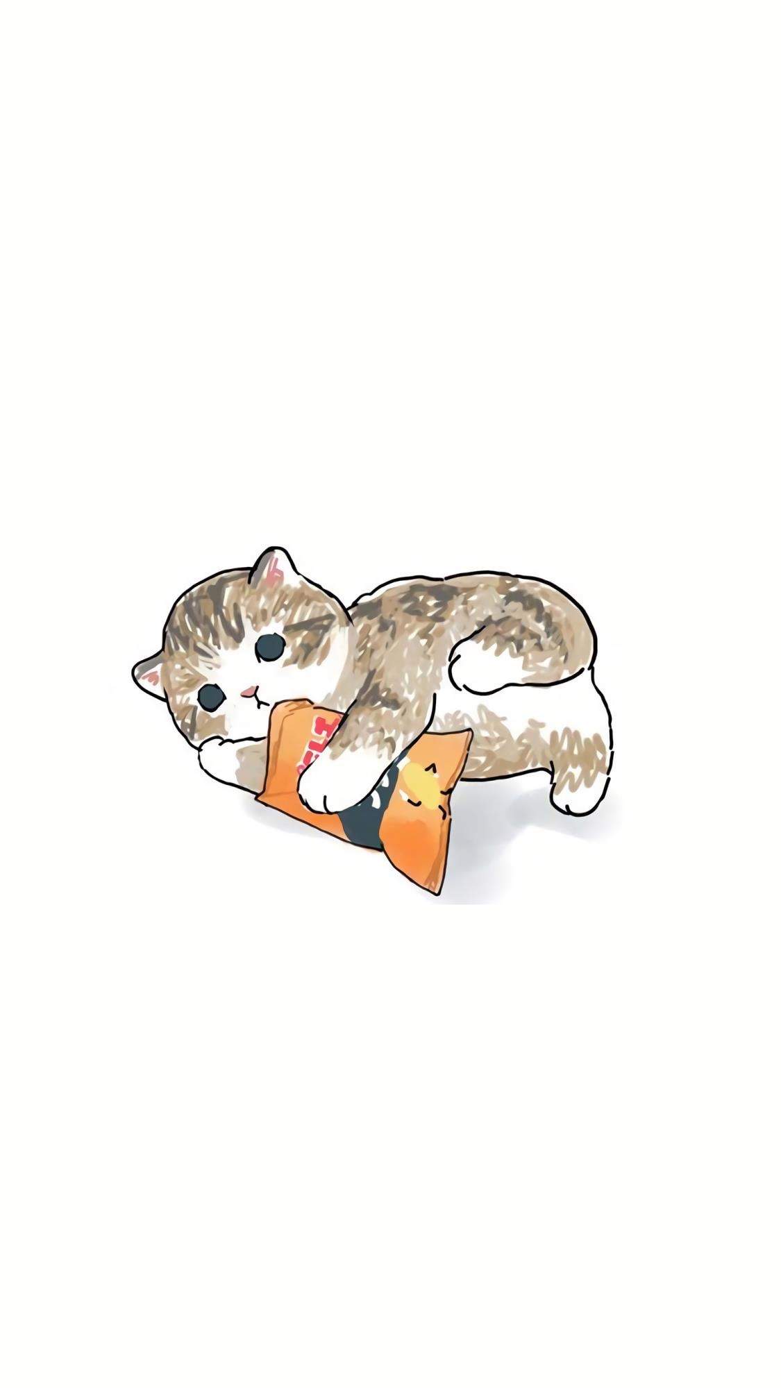 小猫图片
