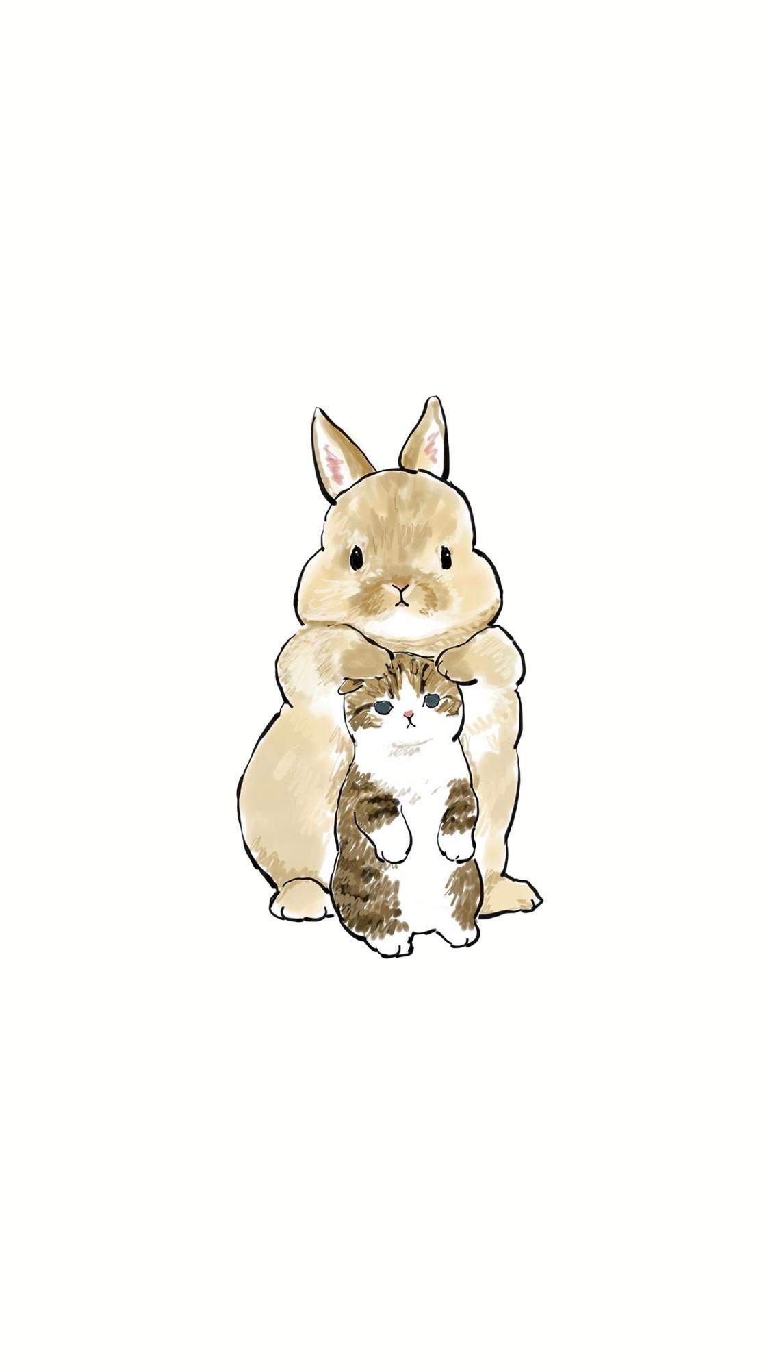 小猫图片