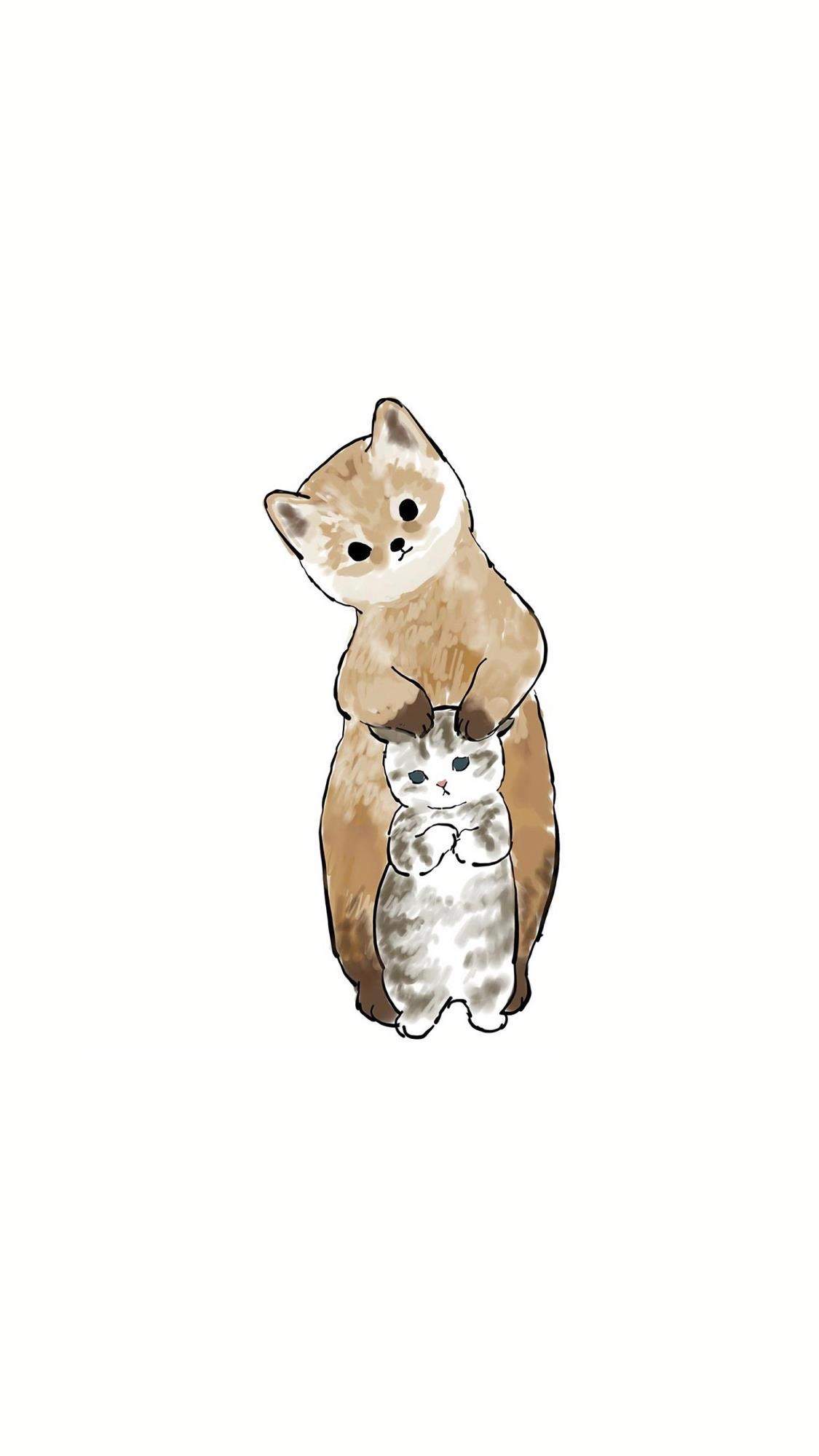 呆萌小猫咪高清桌面壁纸图片