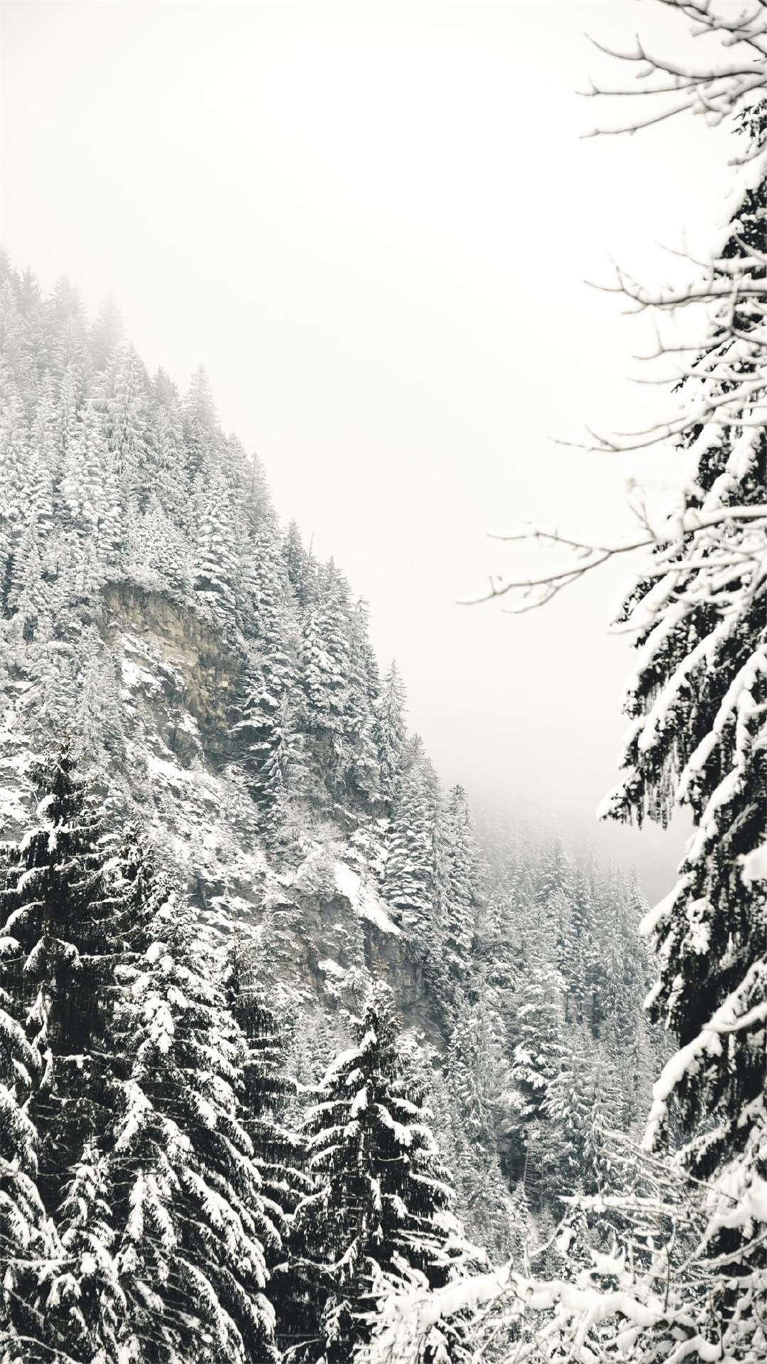 郑秀妍日本函馆冬日雪景唯美写真图片图片