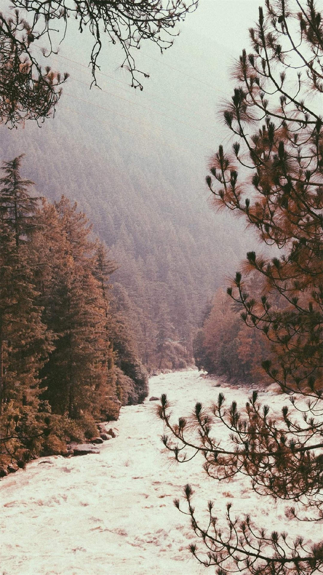 郑秀妍日本函馆冬日雪景唯美写真图片图片
