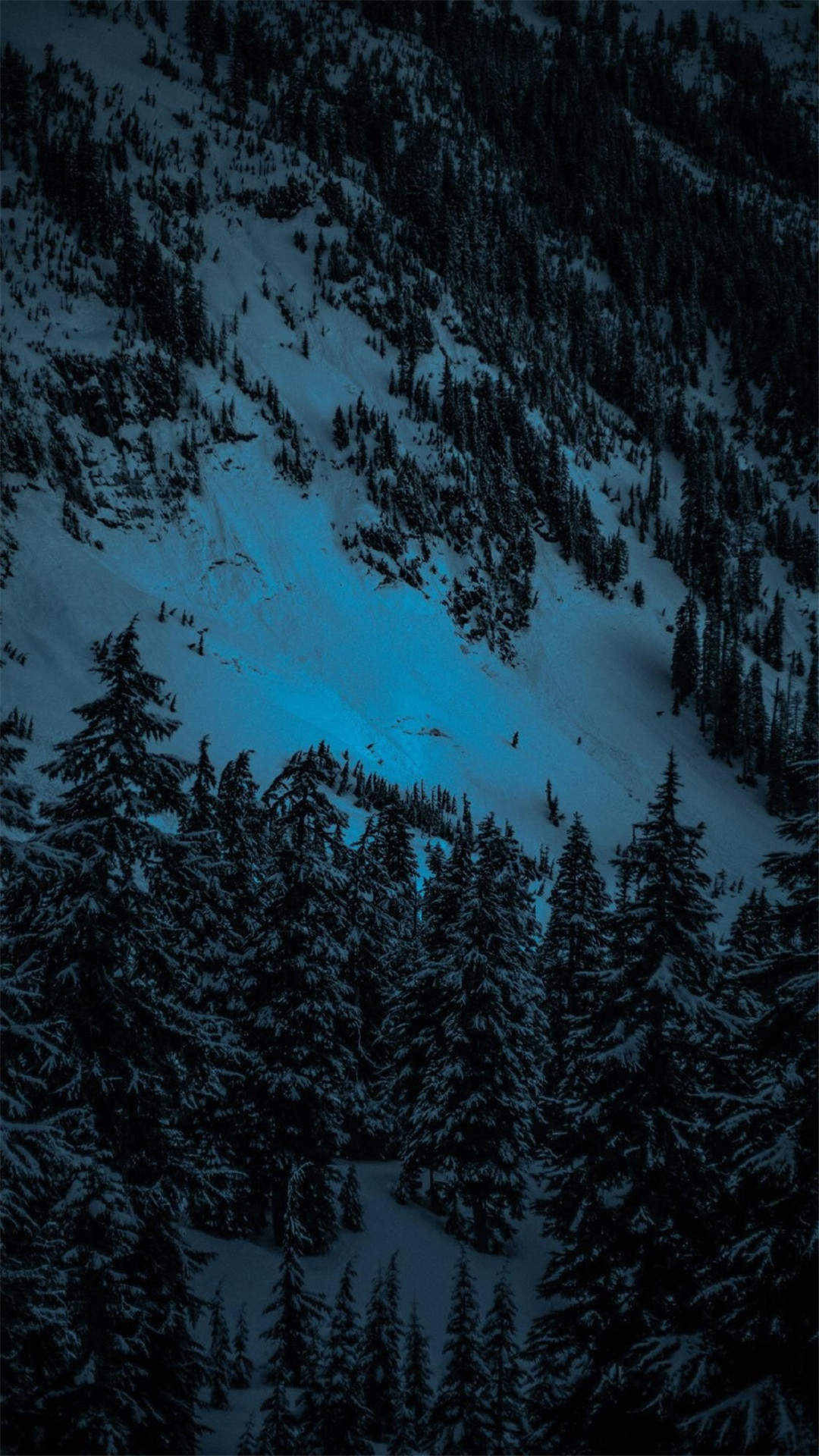 郑秀妍日本函馆冬日雪景唯美写真图片图片