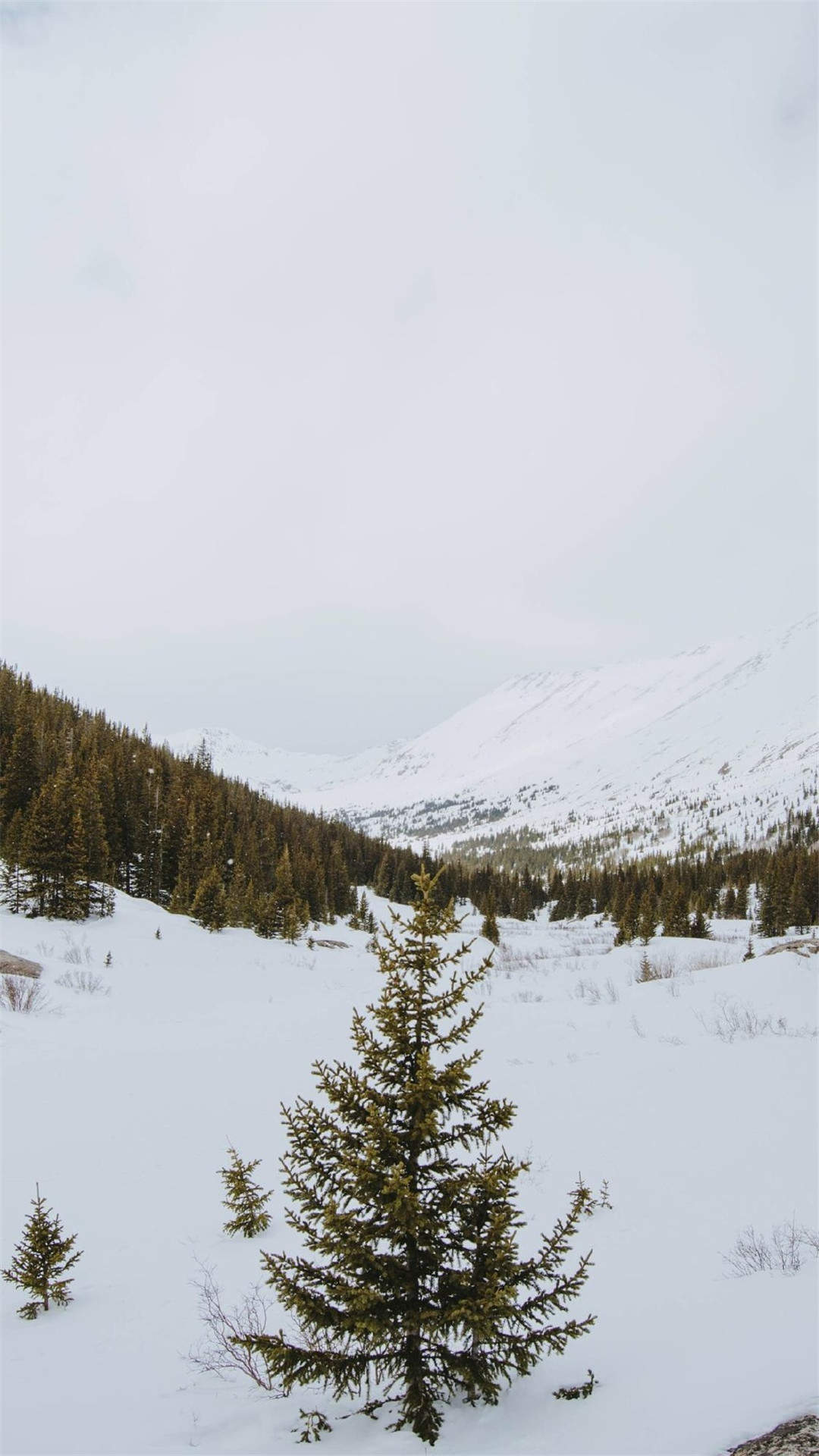 郑秀妍日本函馆冬日雪景唯美写真图片图片