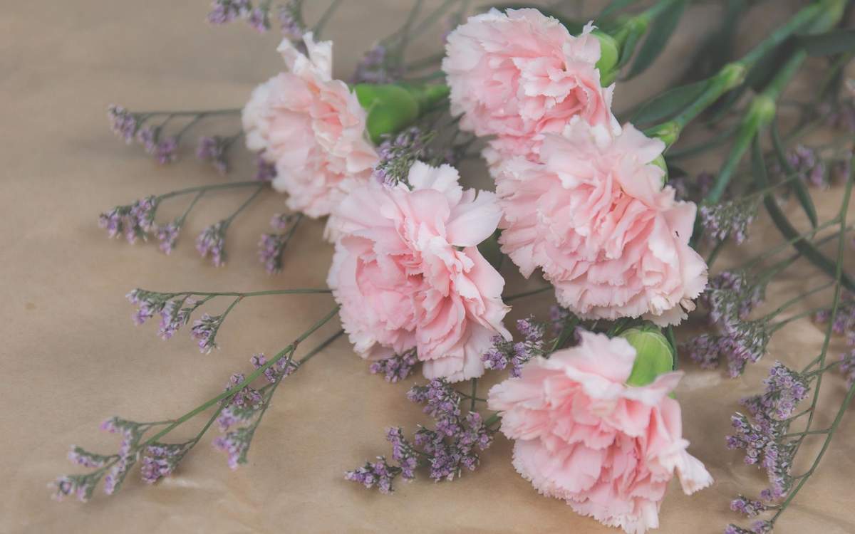 陈钰琪清新淡雅写真图片图片