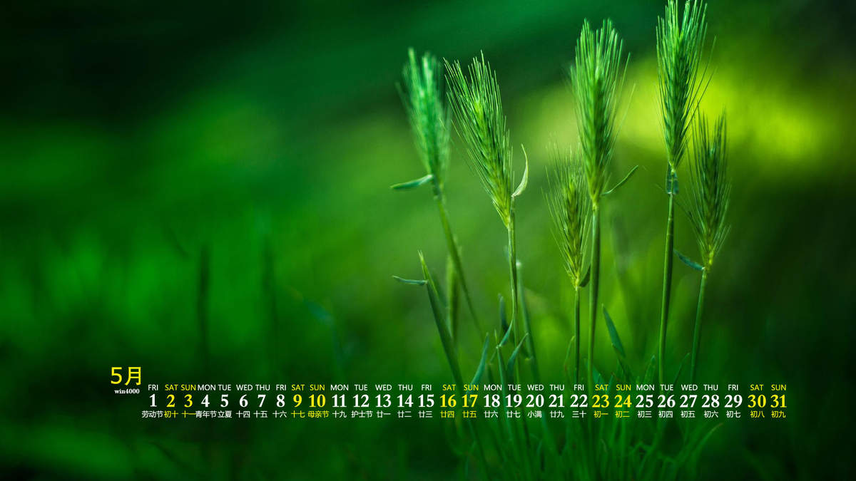 唯美清新绿色植物花卉高清摄影素材图片欣赏图片