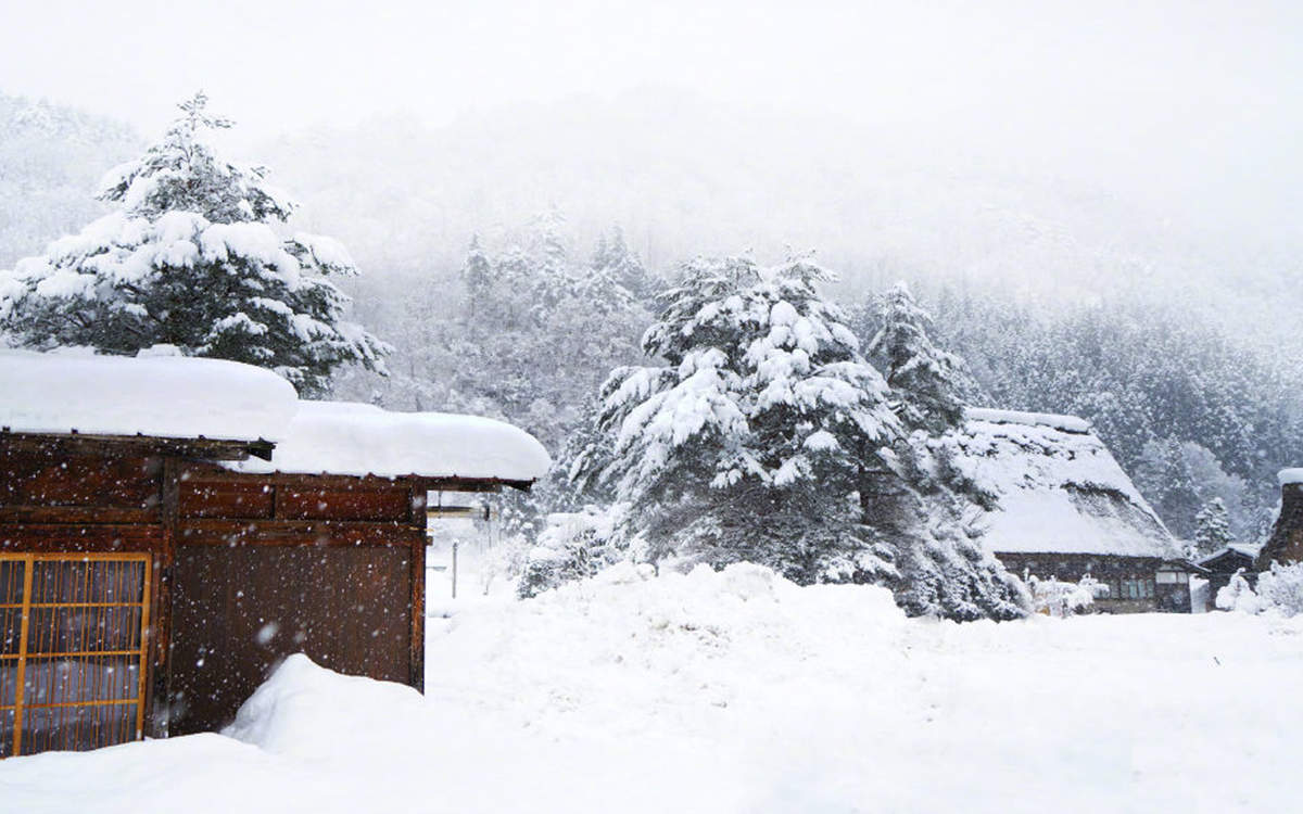 王丽坤清纯靓丽雪景写真图片图片