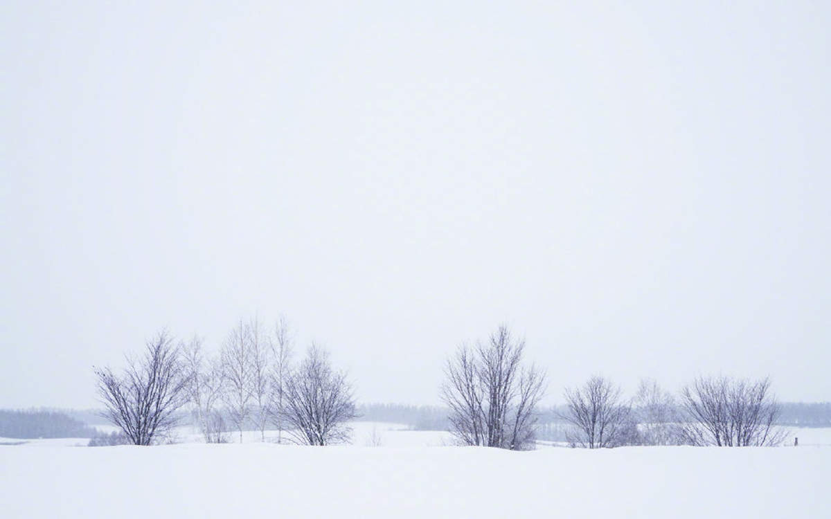 王丽坤清纯靓丽雪景写真图片图片