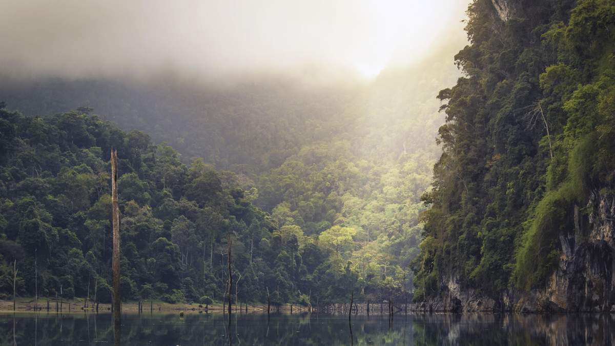 清新自然的山水树林风景图片桌面壁纸图片