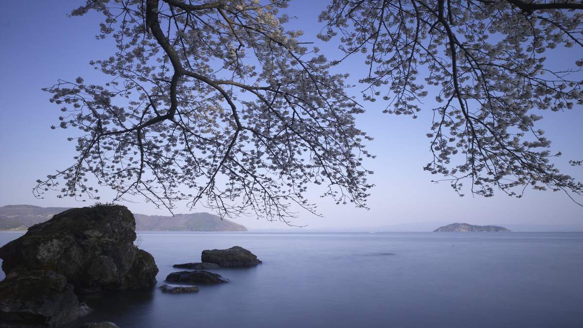 清新自然的山水树林风景图片桌面壁纸图片