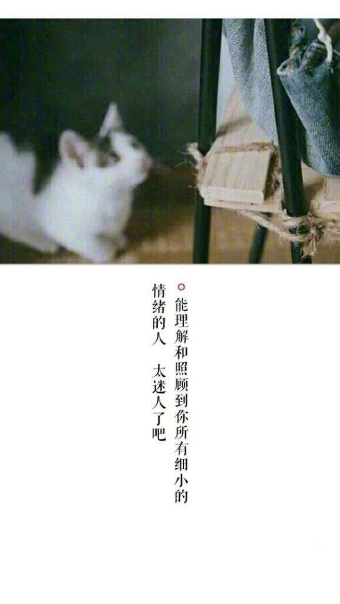 温馨感动谢谢你主题伤感文字语录个性非主流带字伤心图片图片