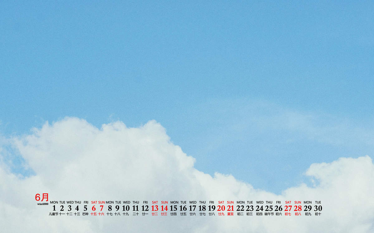 2020年8月绿植花卉清新桌面日历图片壁纸图片