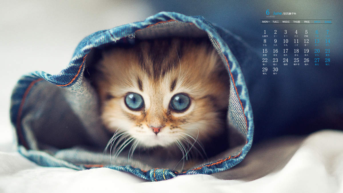 90后性感小猫咪写真图片