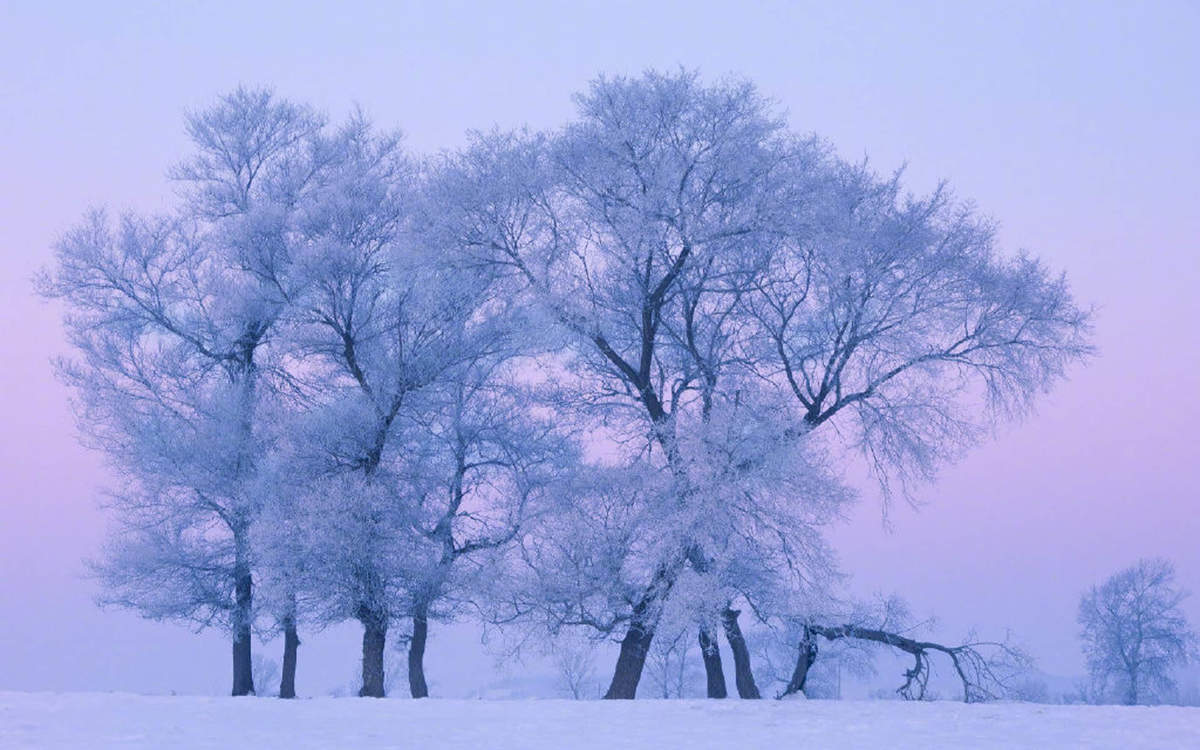 冯若绮清新雪景写真图片图片