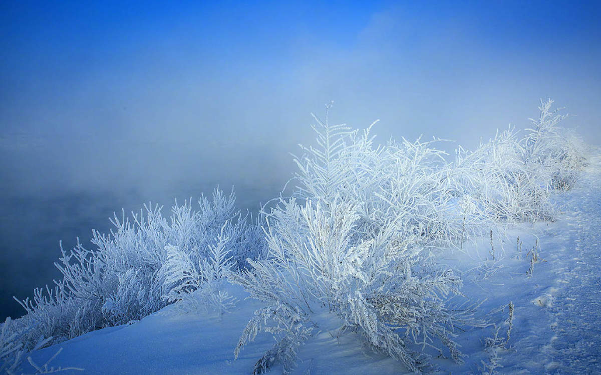 冯若绮清新雪景写真图片图片