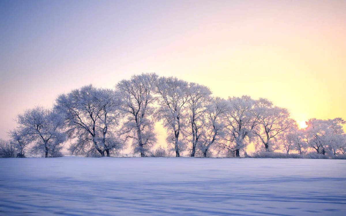 冯若绮清新雪景写真图片图片
