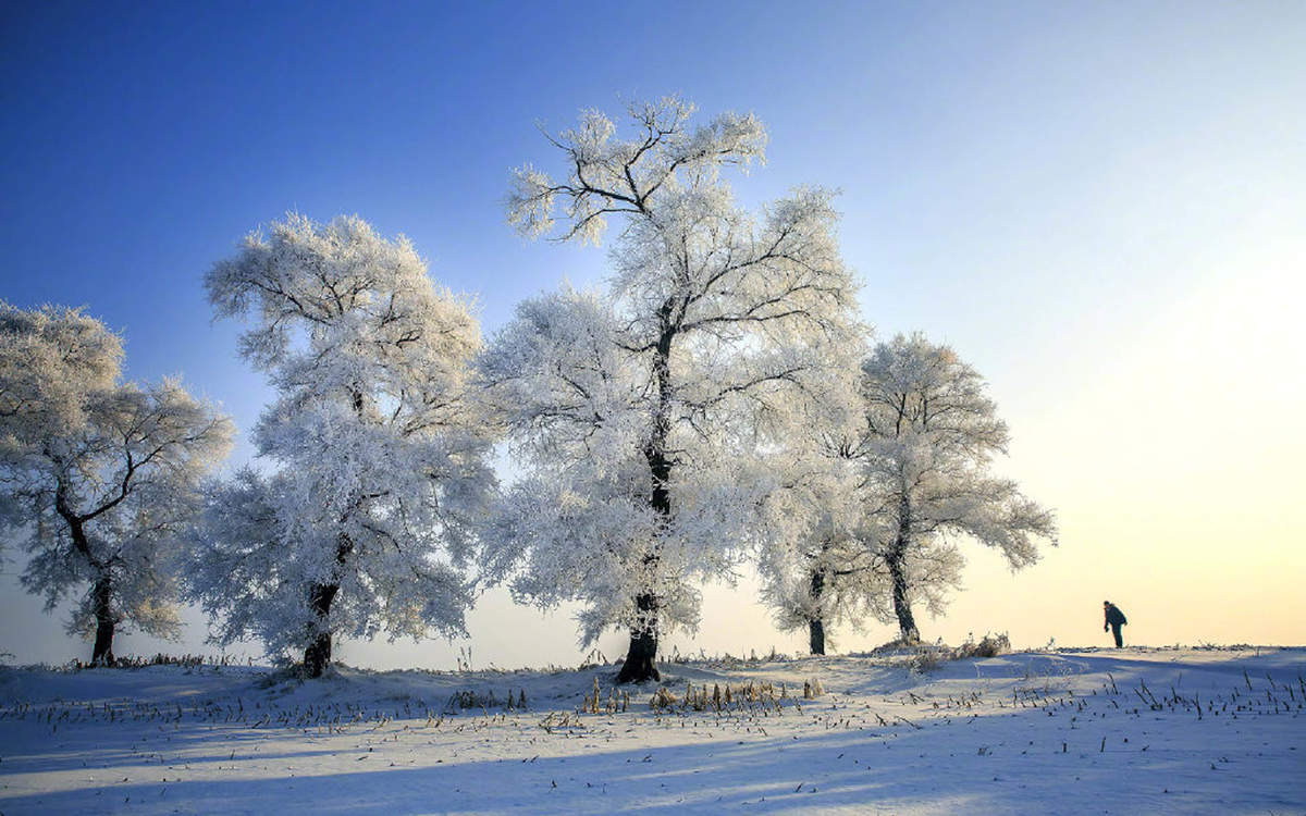 王丽坤清纯靓丽雪景写真图片图片