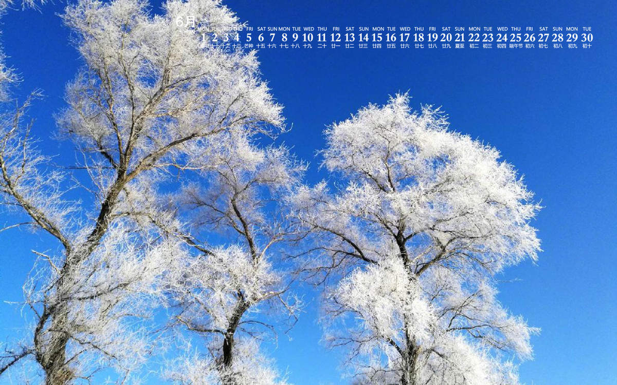 冯若绮清新雪景写真图片图片