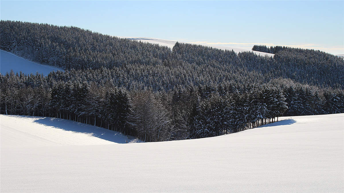 冯若绮清新雪景写真图片图片
