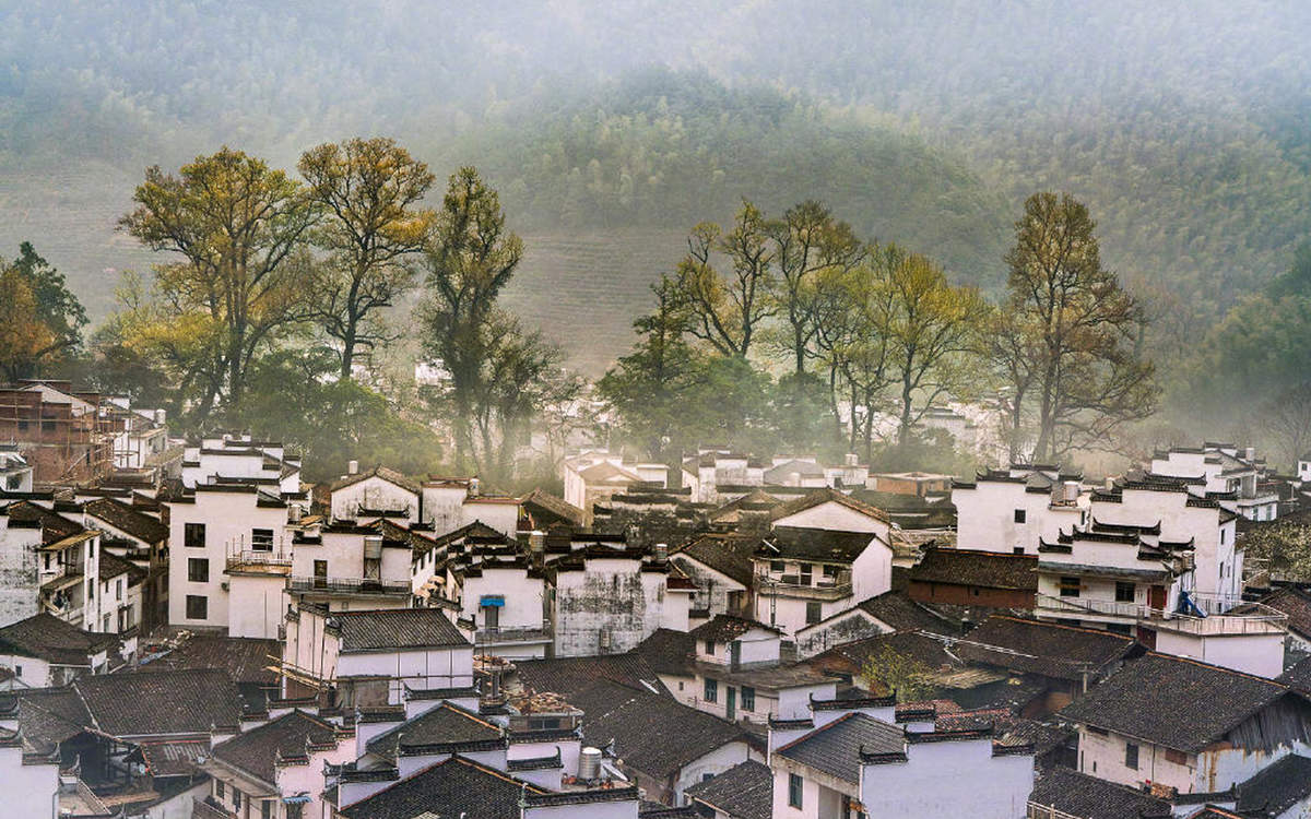 清新护眼自然风光图片图片