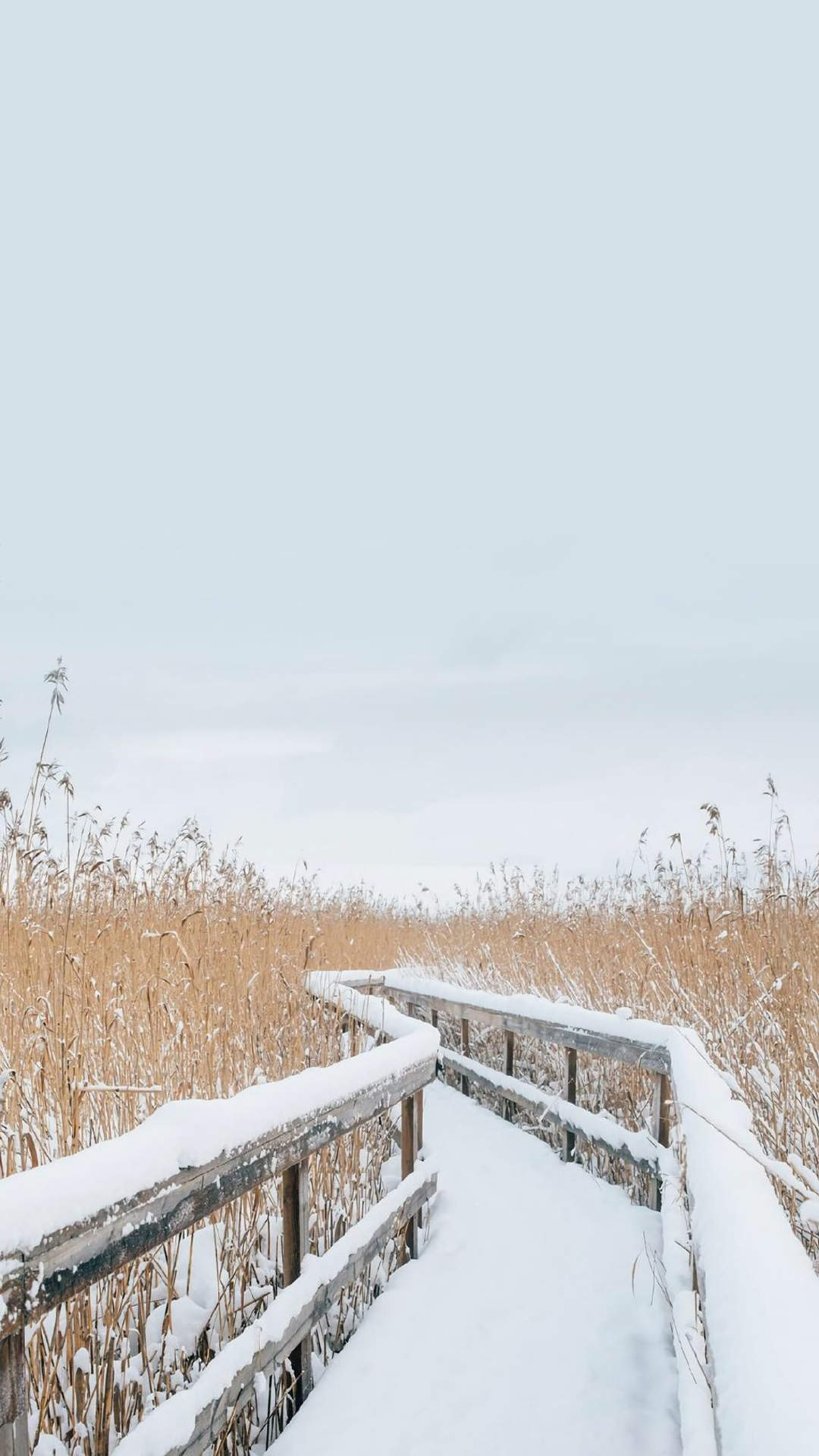 郑秀妍日本函馆冬日雪景唯美写真图片图片