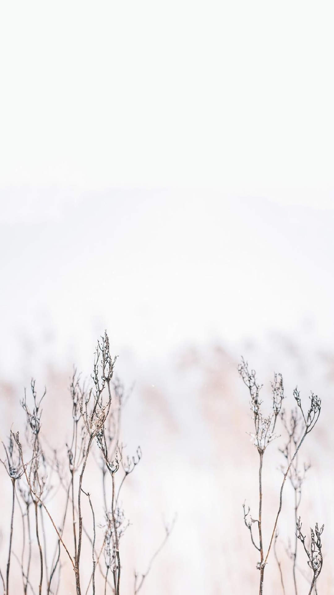 郑秀妍日本函馆冬日雪景唯美写真图片图片