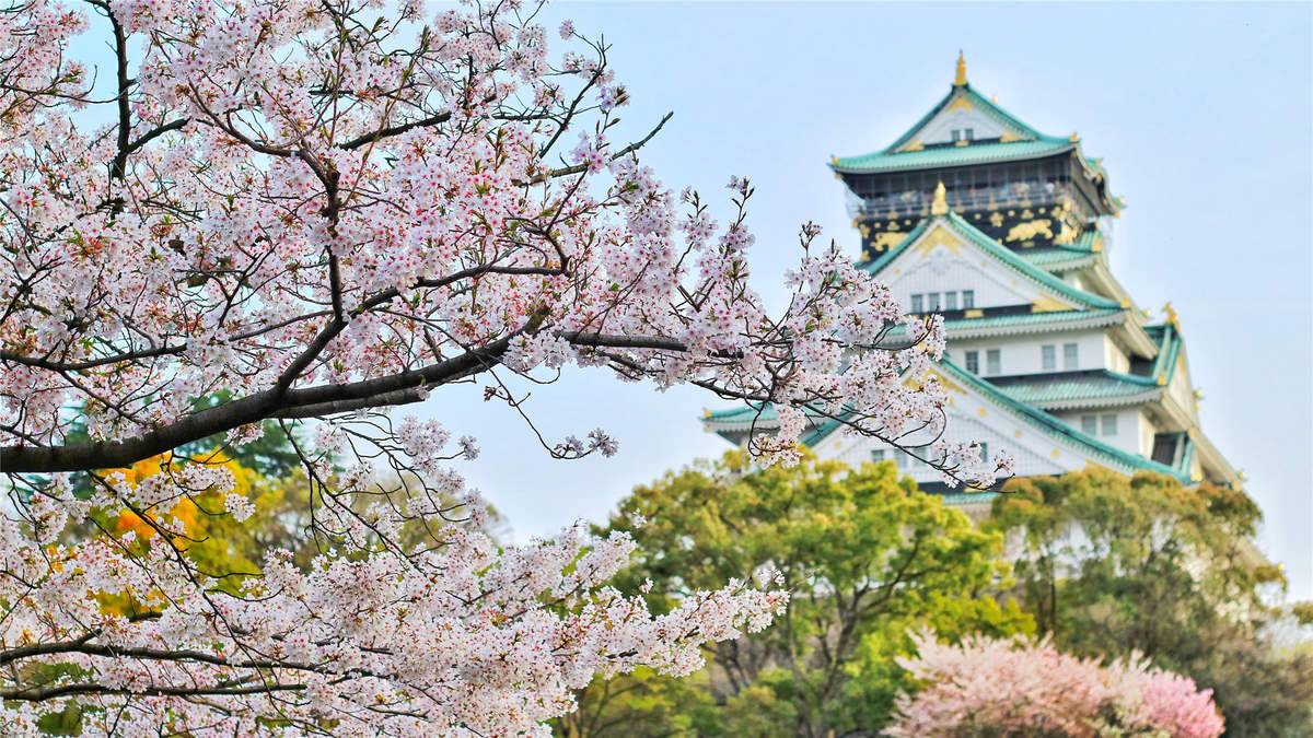 2019年4月春日唯美樱花高清日历壁纸图片