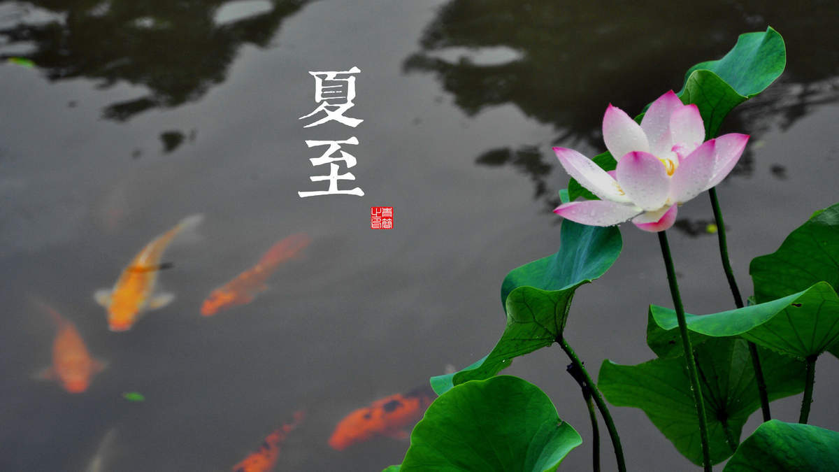 电脑壁纸高清图片