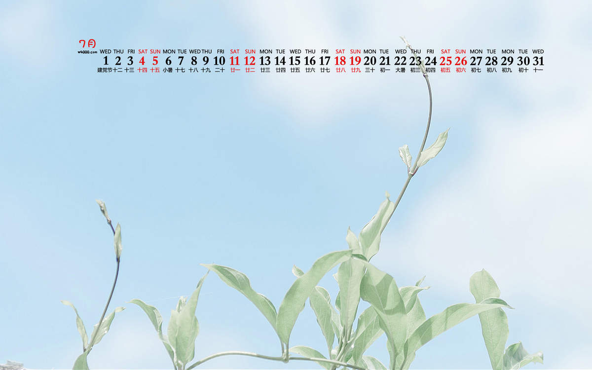 2020年8月蓝天绿色清新桌面日历壁纸图片