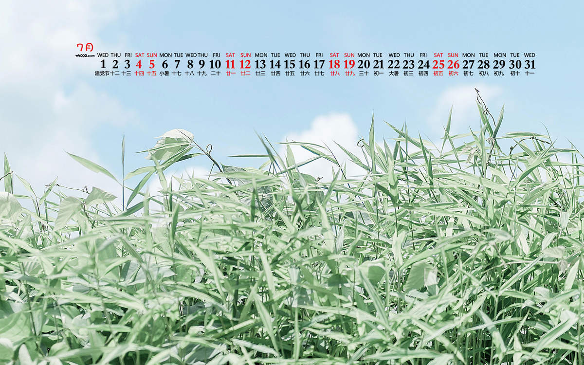 2020年8月蓝天绿色清新桌面日历壁纸图片
