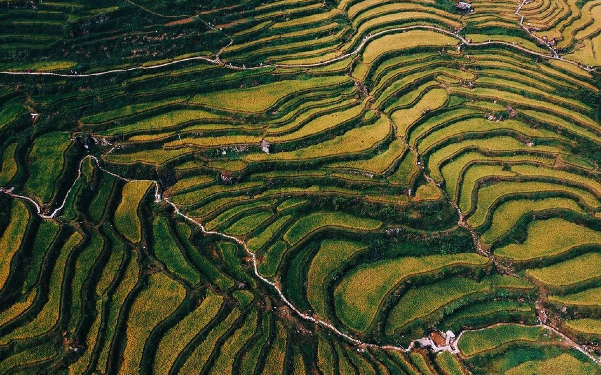 护眼桌面壁纸图片