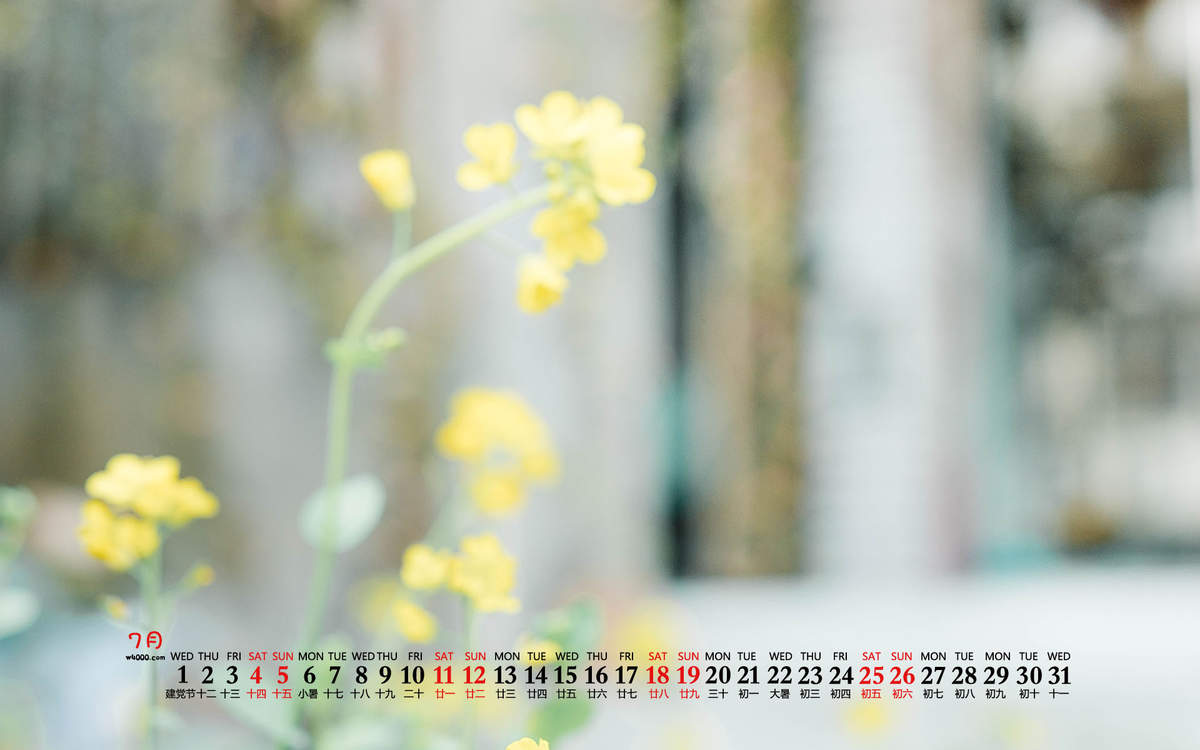 2020年10月绿色花卉小清新桌面日历壁纸图片