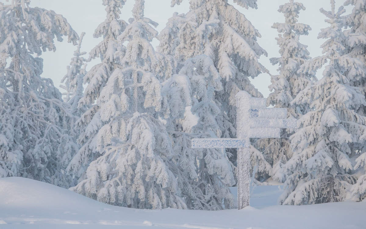 郑秀妍日本函馆冬日雪景唯美写真图片图片