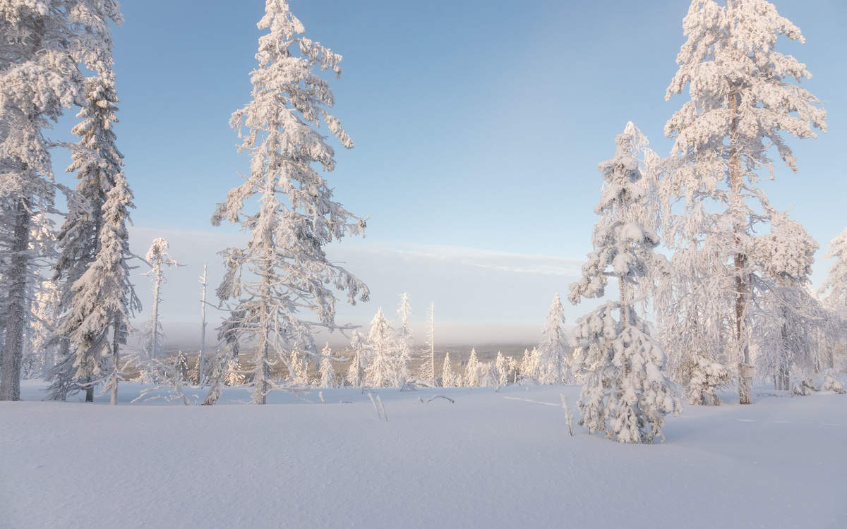 郑秀妍日本函馆冬日雪景唯美写真图片图片