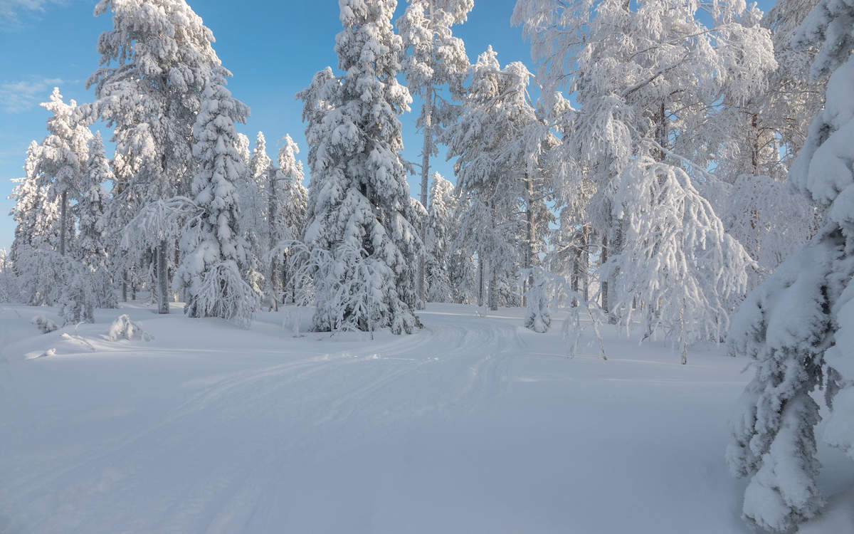 郑秀妍日本函馆冬日雪景唯美写真图片图片