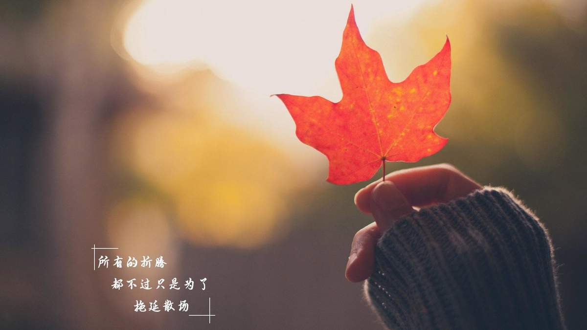 温馨感动谢谢你主题伤感文字语录个性非主流带字伤心图片图片