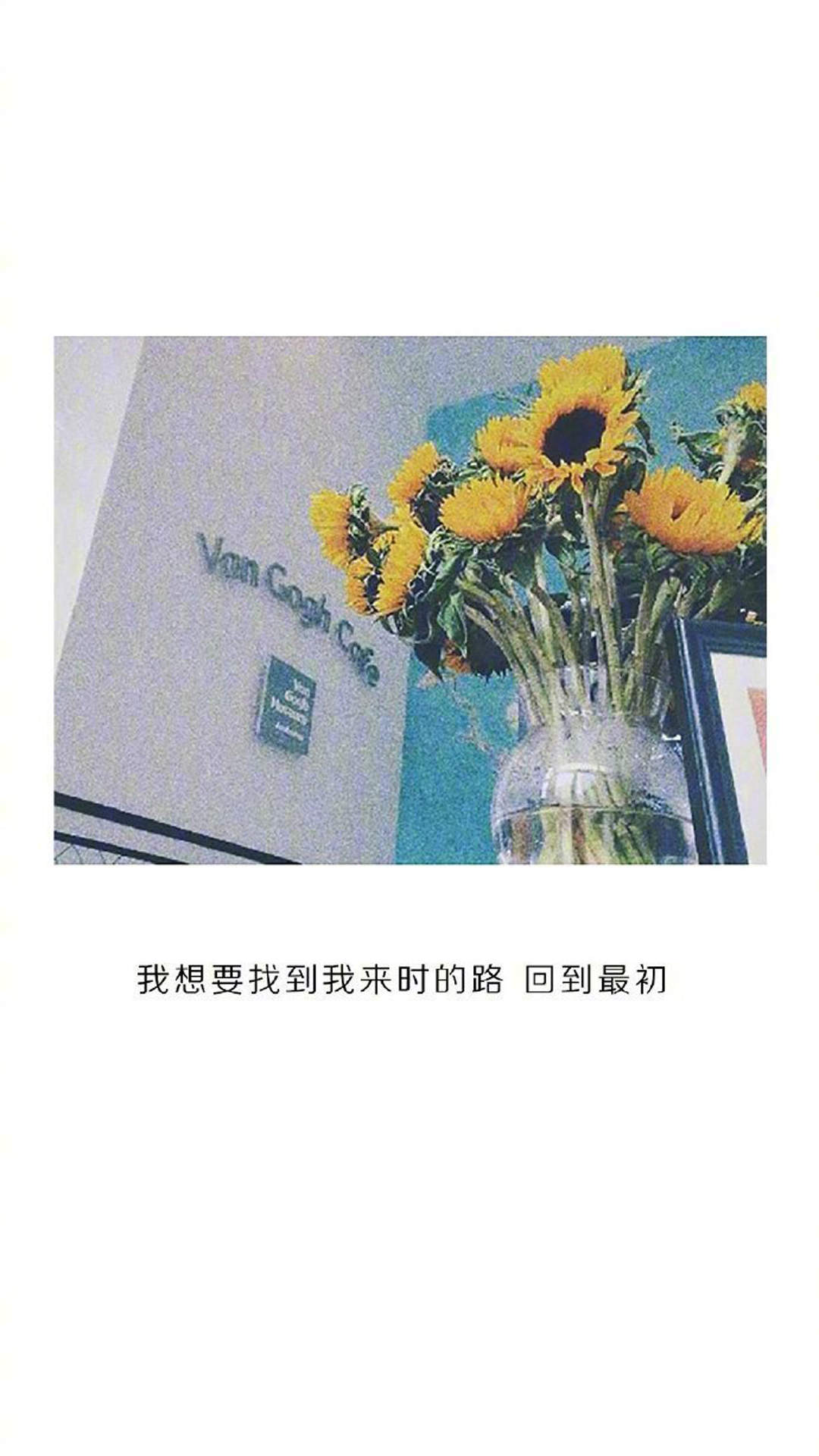 伤感文字语录图片 唯美文字语句图片图片