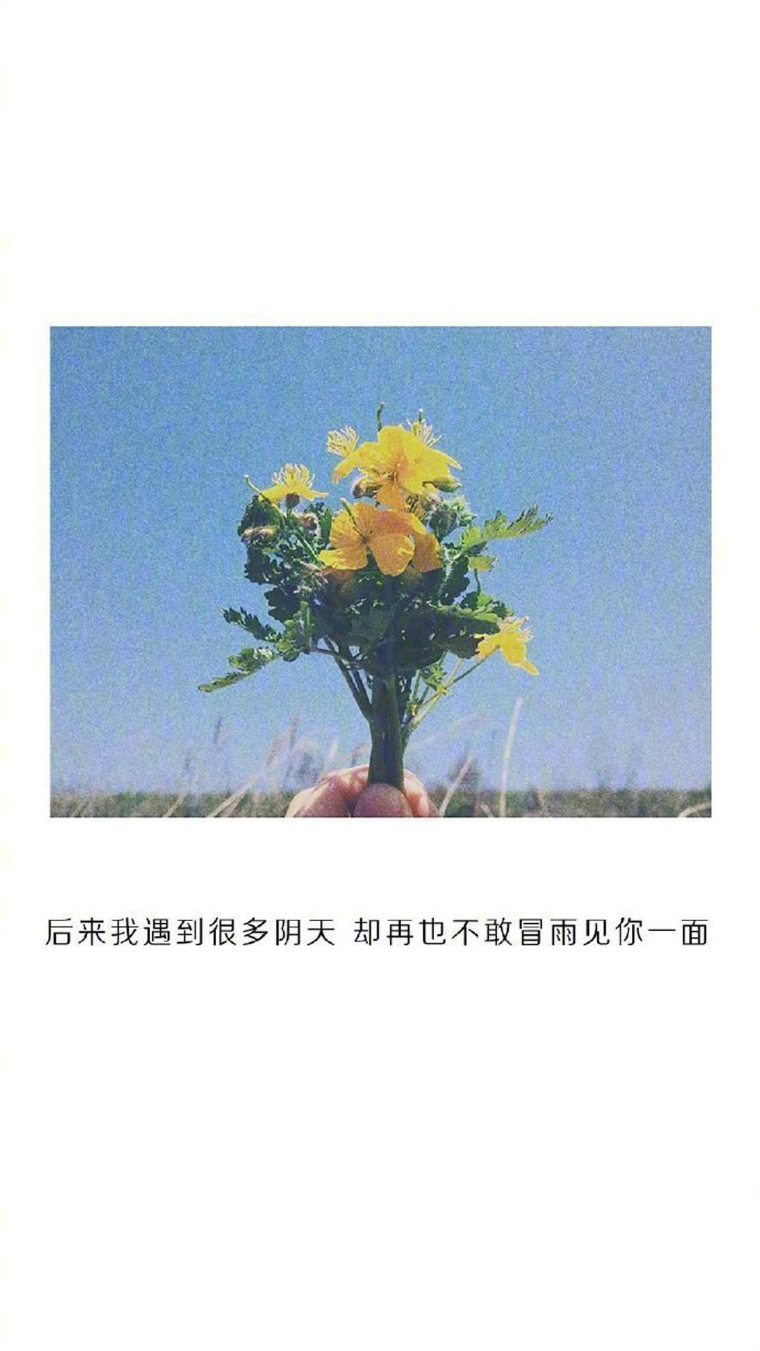 爱情励志文字图片 伤感文字语录图文精选图片