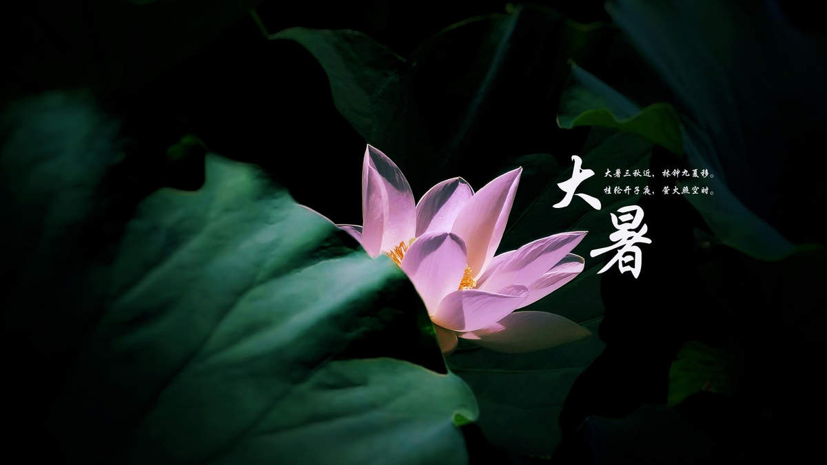 2016年金猴祝福创意桌面壁纸图片下载图片